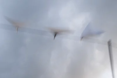 Annette Horn Photography – wind