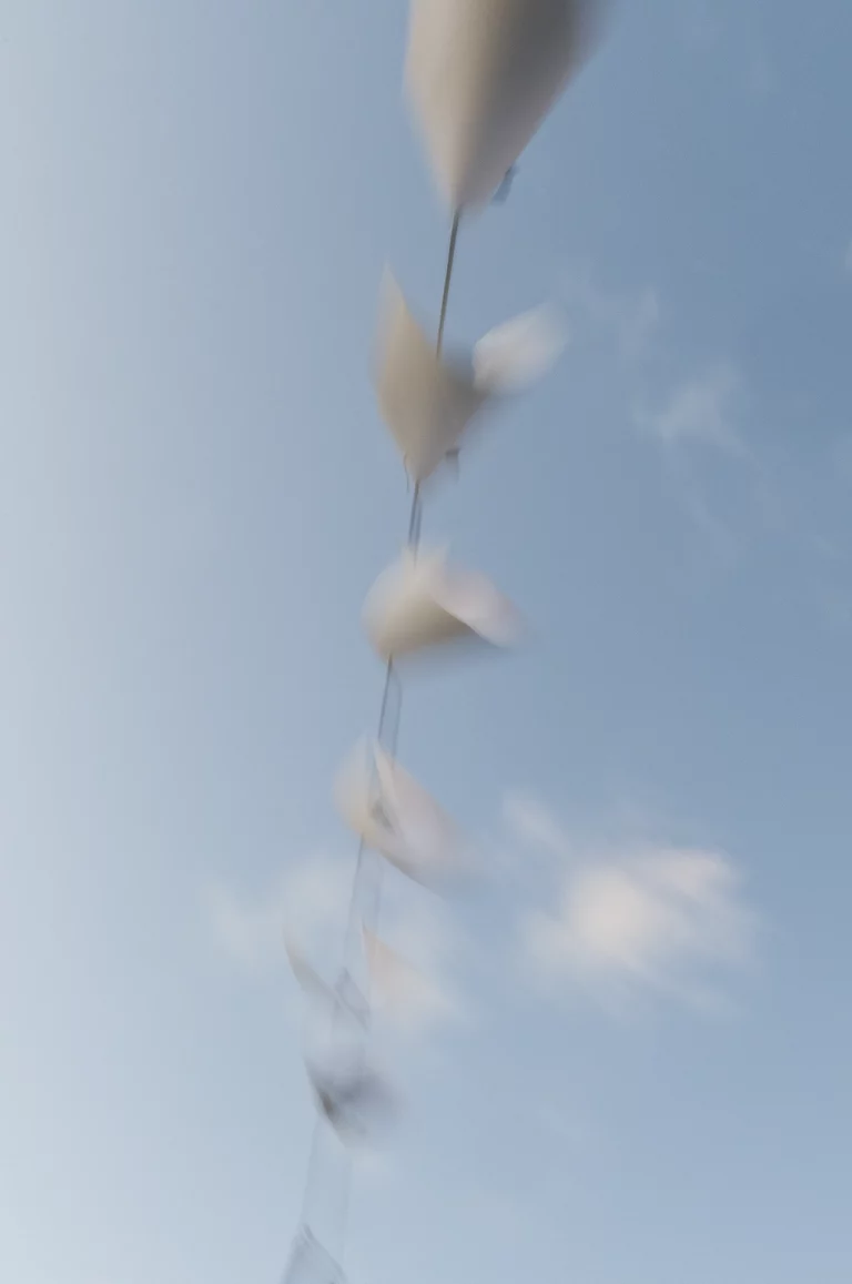 Annette Horn Photography – wind