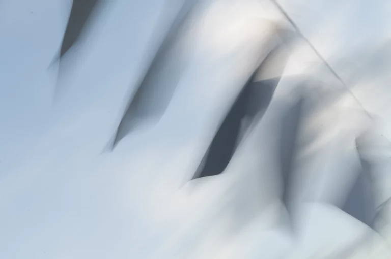 Annette Horn Photography – wind