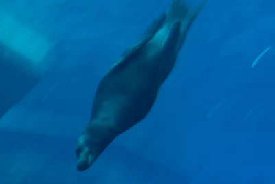 Annette Horn Photography – zoozoom 02