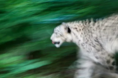 Annette Horn Photography – zoozoom 04