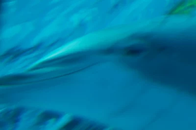 Annette Horn Photography – zoozoom 06