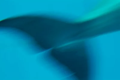 Annette Horn Photography – zoozoom 07