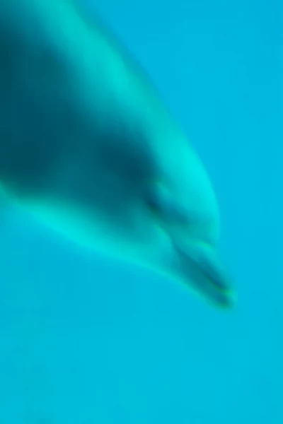 Annette Horn Photography – zoozoom 08