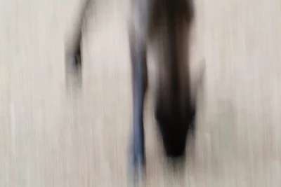 Annette Horn Photography – zoozoom 09