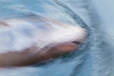 Annette Horn Photography – zoozoom 10