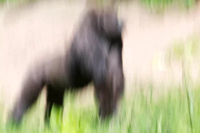 Annette Horn Photography – zoozoom 14