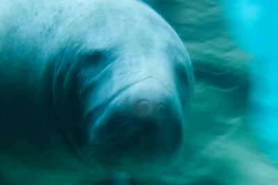 Annette Horn Photography – zoozoom 15