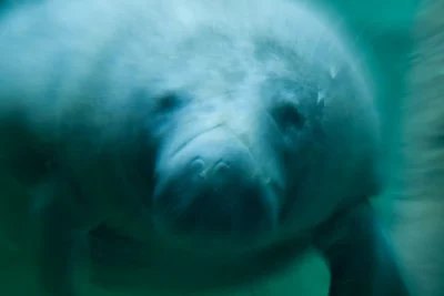 Annette Horn Photography – zoozoom 16