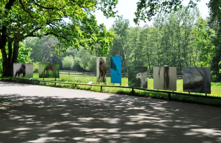 Annette Horn Photography – Project ZooZoom