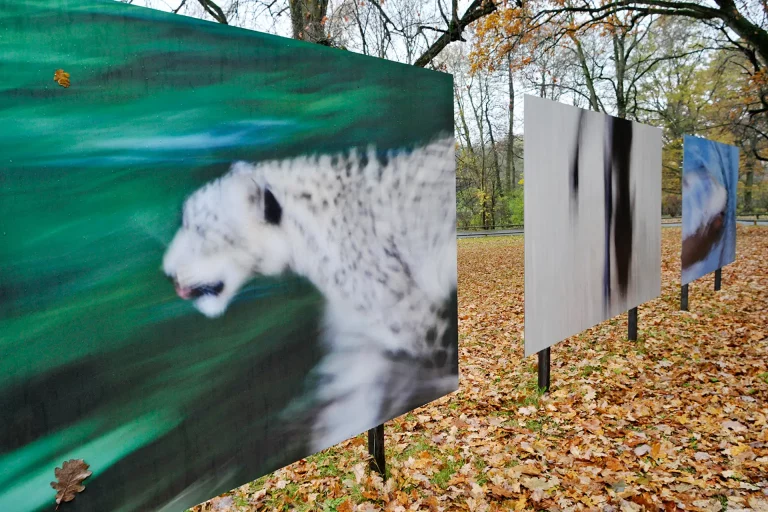 Annette Horn Photography – Project ZooZoom