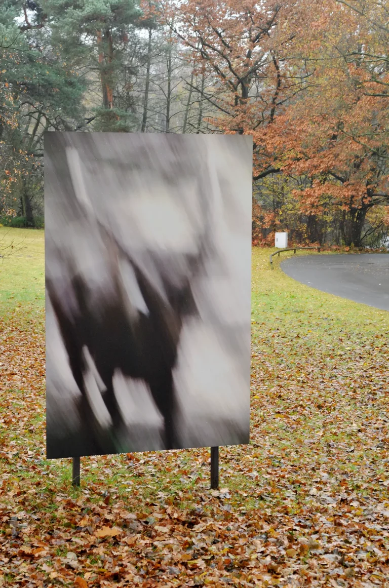 Annette Horn Photography – Project ZooZoom